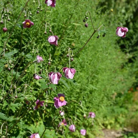 't Oelengoor Gasthof