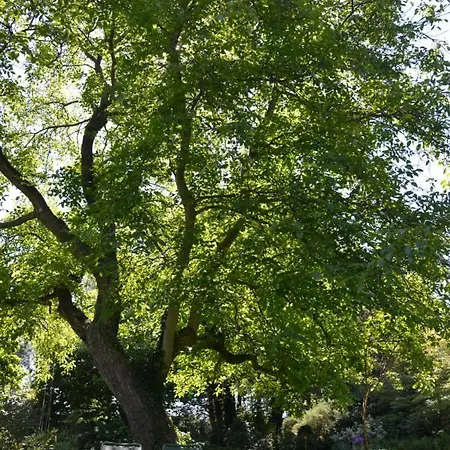 't Oelengoor Gasthof Sinderen